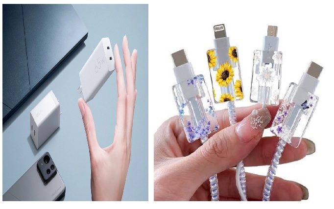 Charger Protector